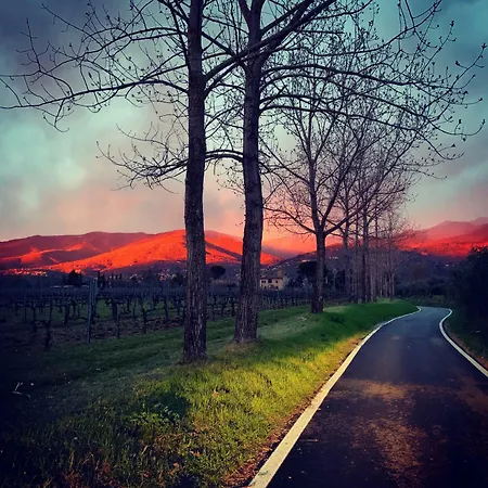 Il Crocicchio Alloggio per agriturismo Reggello
